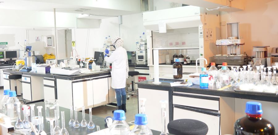 R&D Capabilities